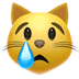 :crying_cat_face: :crying_cat_face: