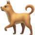 :dog2: :dog2: