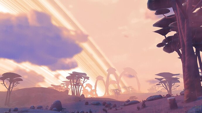 nms5