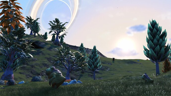 nms37