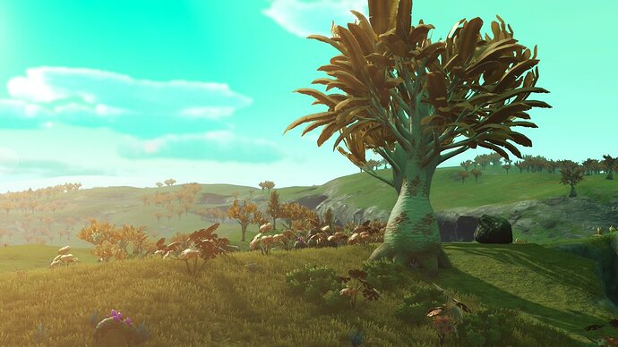 nms139