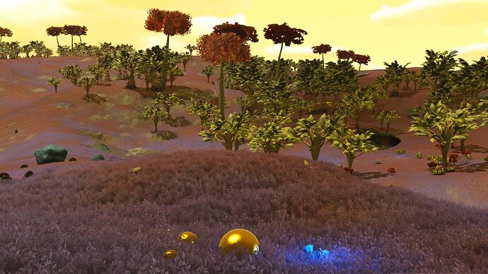 nms146