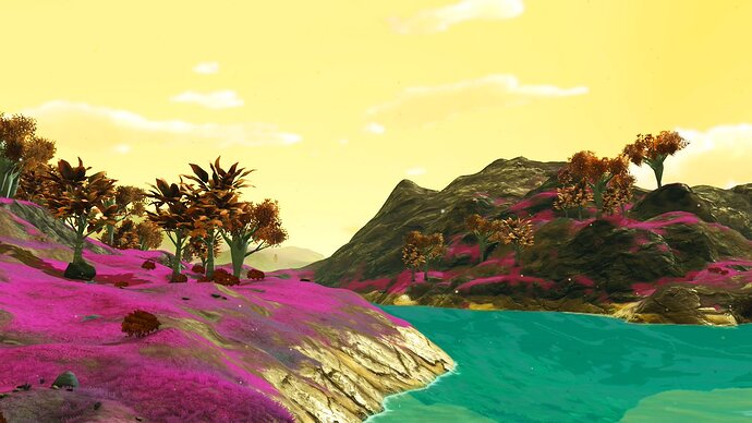 nms17