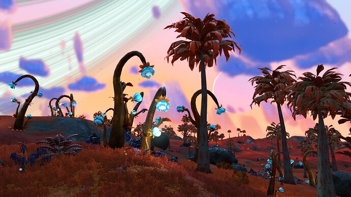 nms163