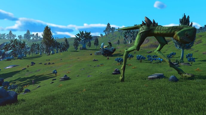 nms202