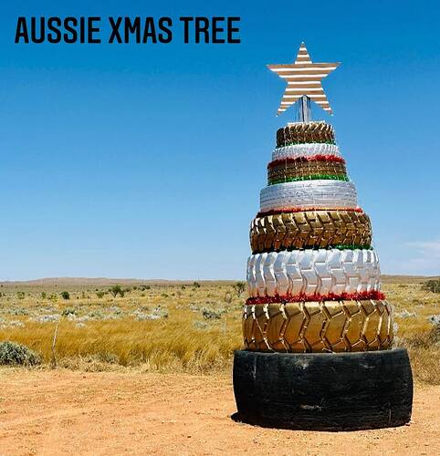 aussie christmas tree