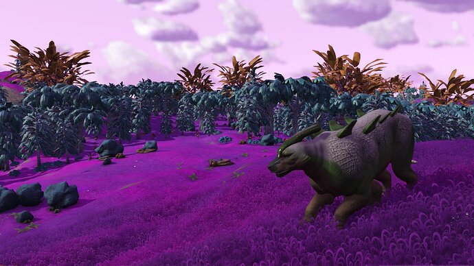 nms167