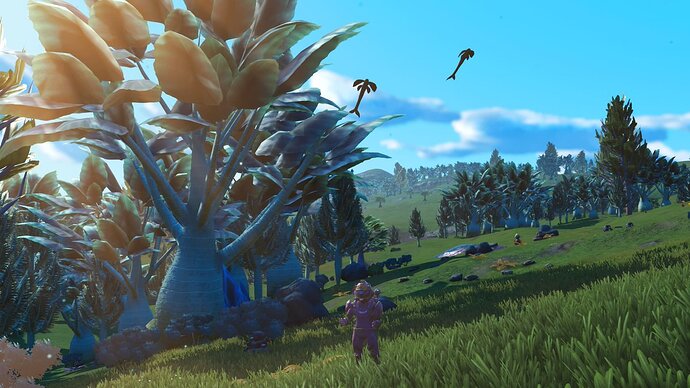 nms201
