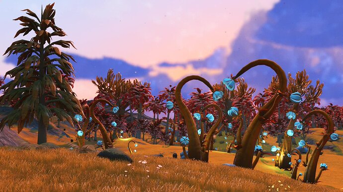 nms18