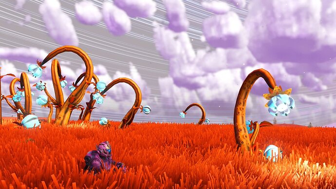 nms208