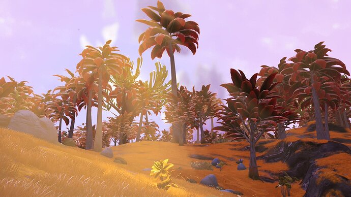 nms21