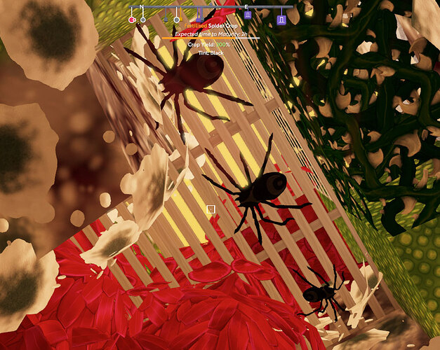 myspiders