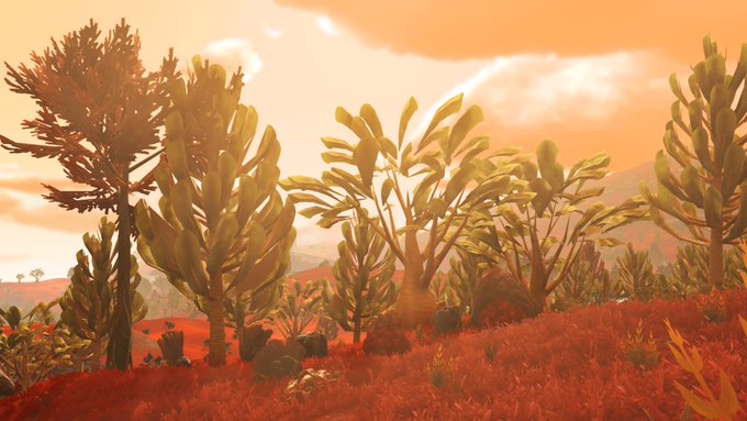 nms191
