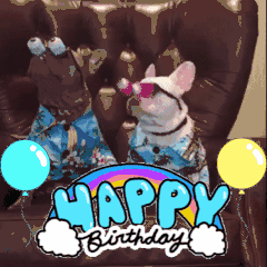 giphy (2)