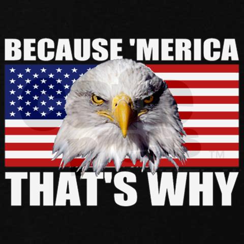 because_merica_thats_why_us_flag_american_eagle_sw