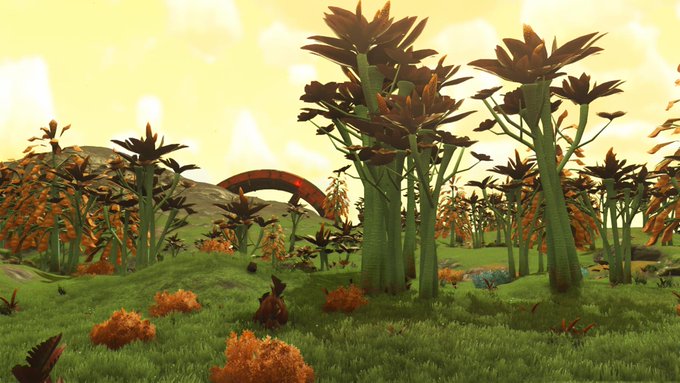 nms113