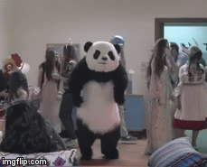 panda%20dance