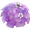 127 Vivid Lilac