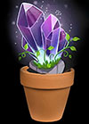 plant4