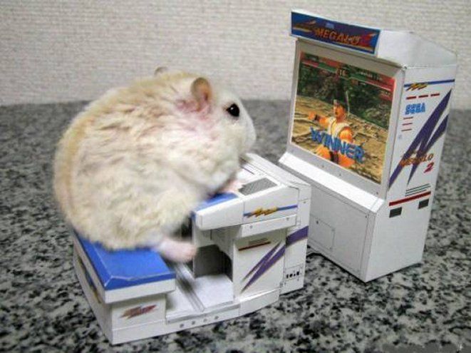 hamstergame