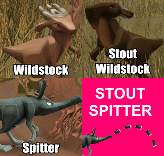 stoutspitter