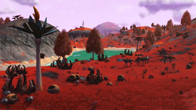nms29