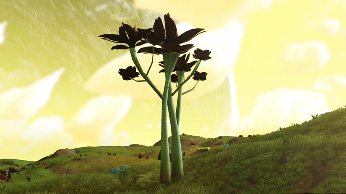 nms115