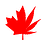 msa