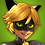 WildCat-Actual